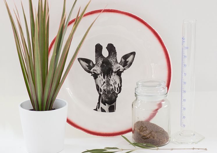 BARNIZ ACABADO BRILLO